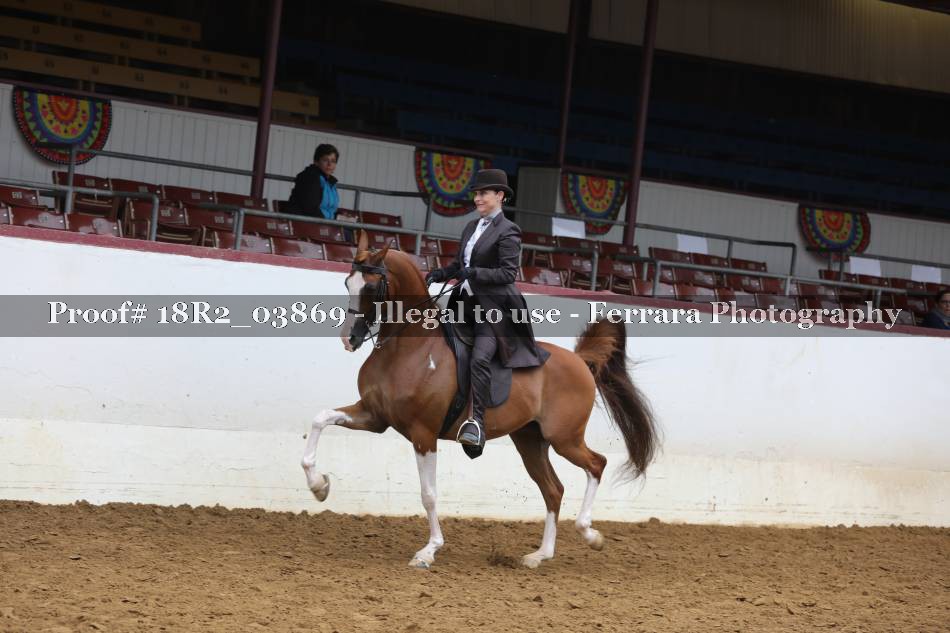 Proof 18R2_03869