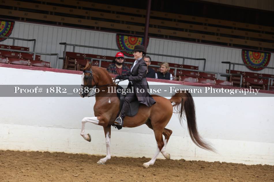 Proof 18R2_03870