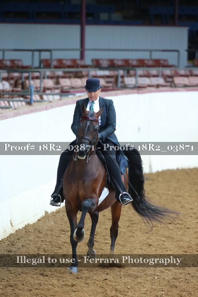 Proof 18R2_03871