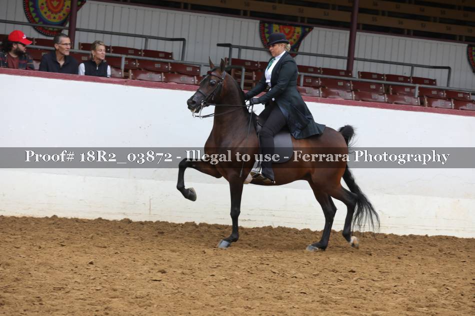 Proof 18R2_03872