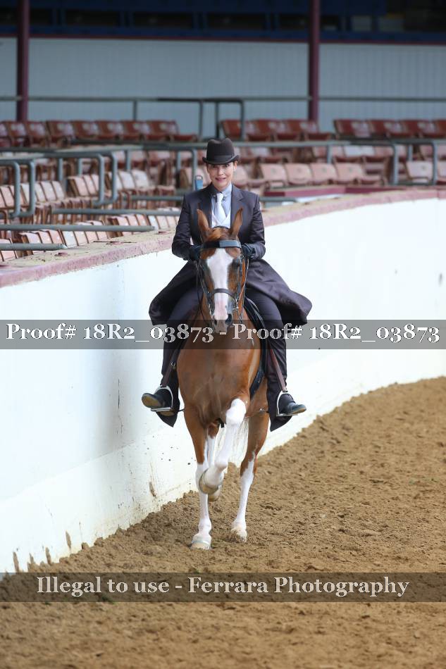 Proof 18R2_03873