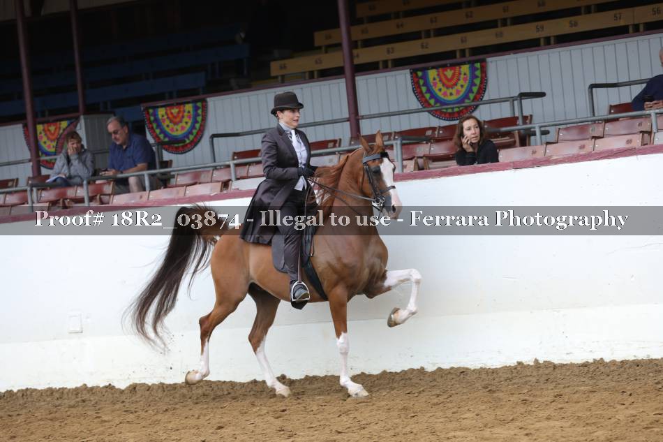 Proof 18R2_03874