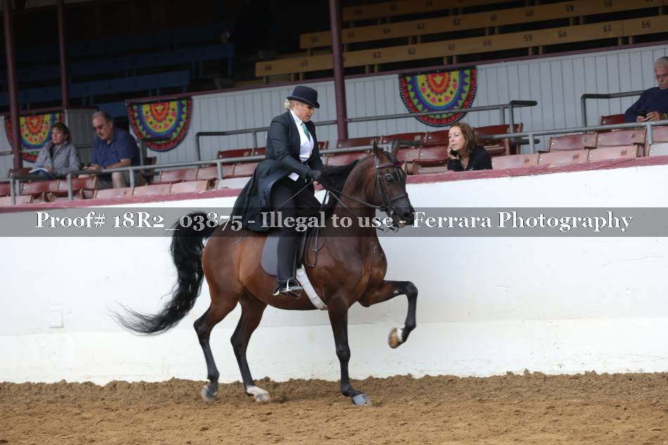 Proof 18R2_03875