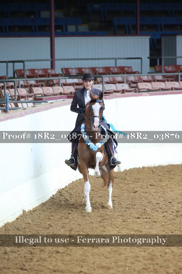 Proof 18R2_03876