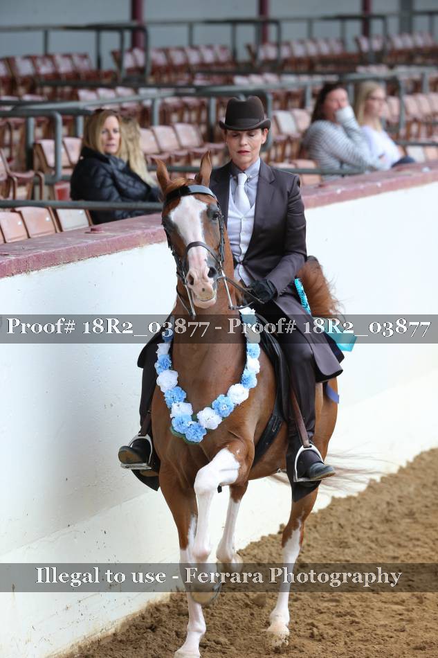Proof 18R2_03877