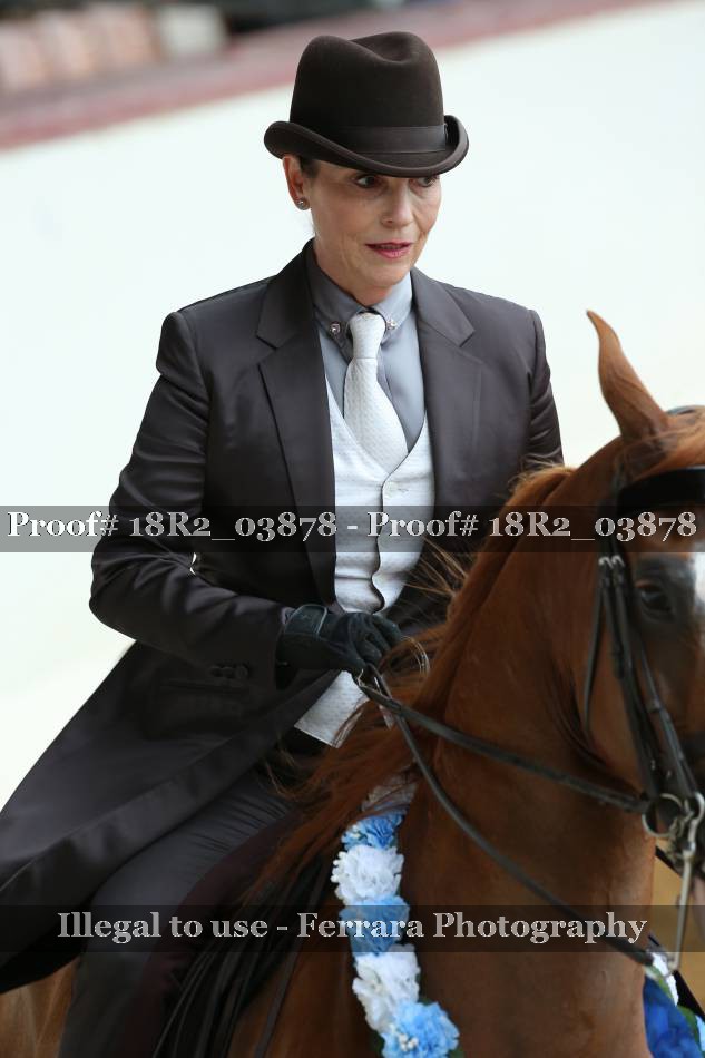 Proof 18R2_03878