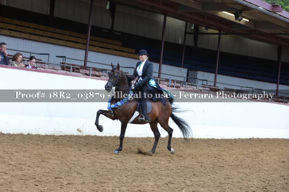 Proof 18R2_03879