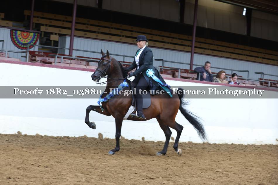 Proof 18R2_03880