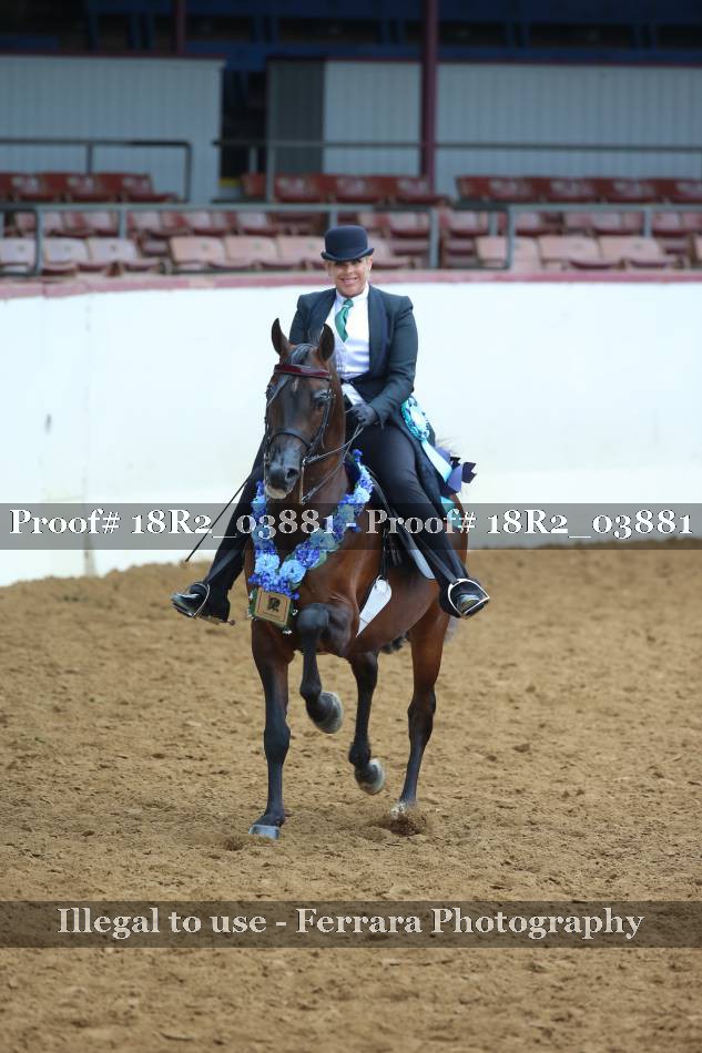 Proof 18R2_03881