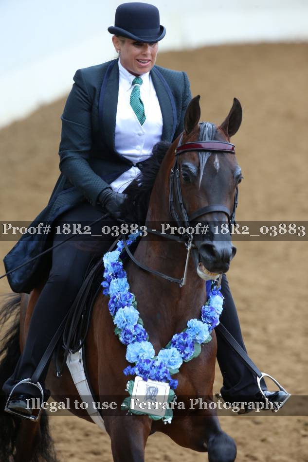 Proof 18R2_03883