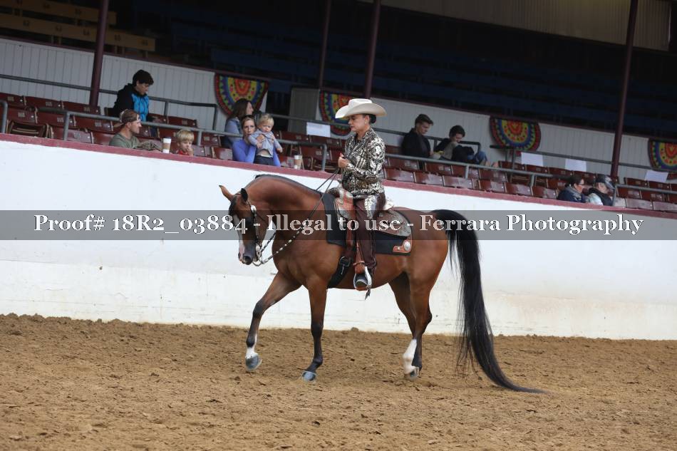 Proof 18R2_03884