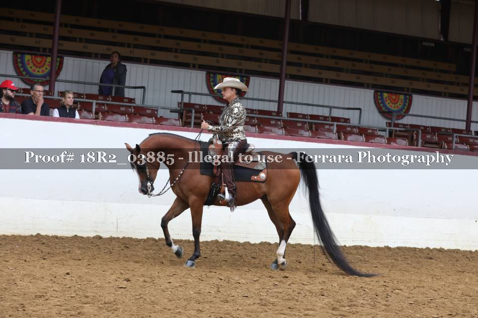 Proof 18R2_03885