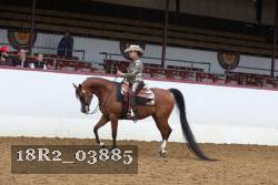 18R2_03885 proof