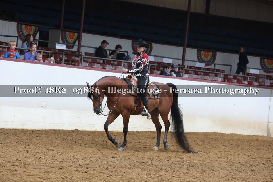 Proof 18R2_03886