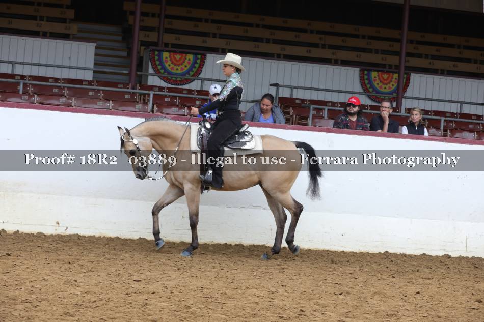 Proof 18R2_03889