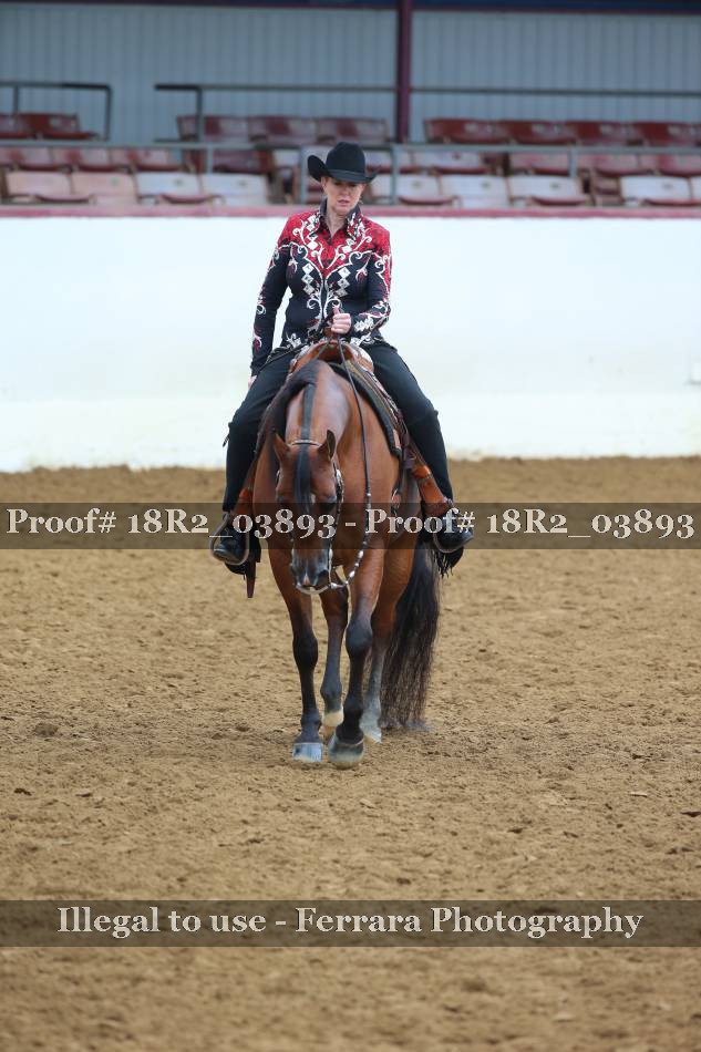 Proof 18R2_03893