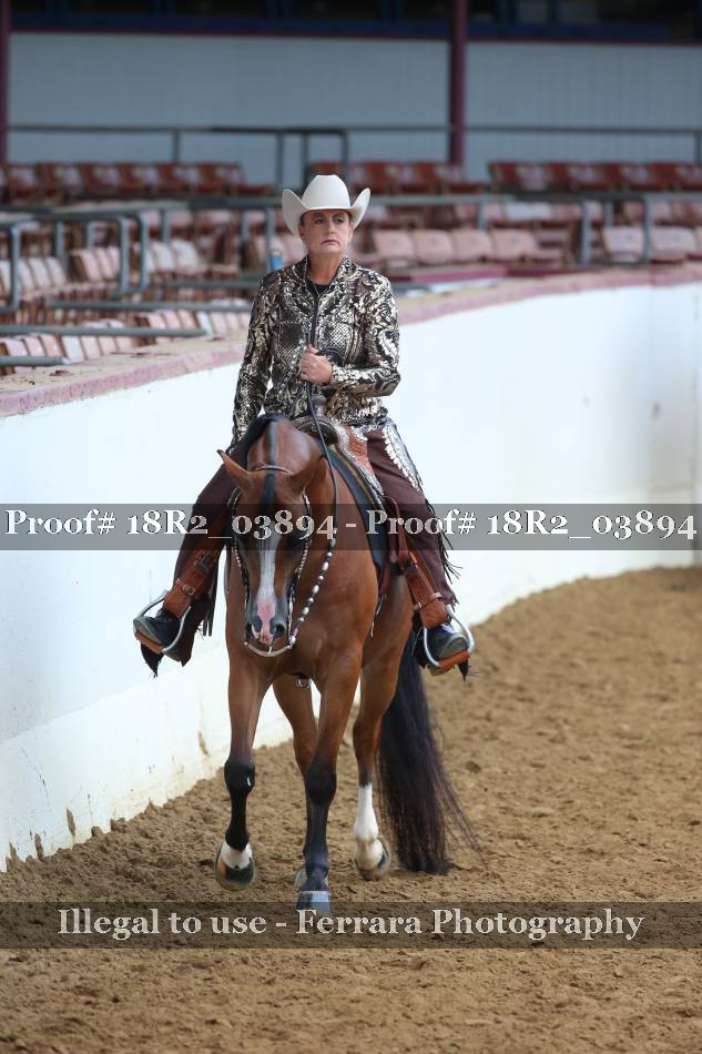 Proof 18R2_03894