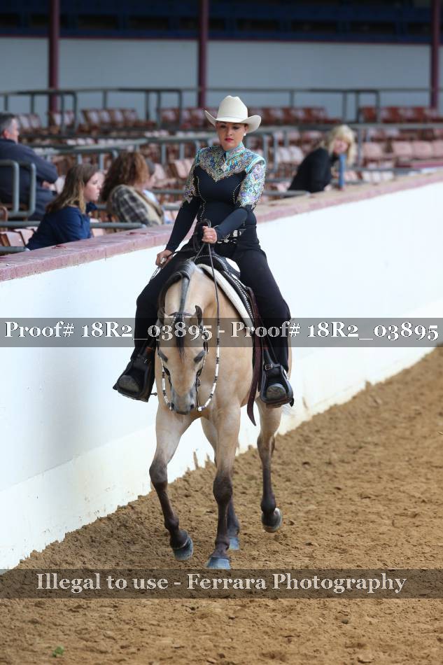 Proof 18R2_03895