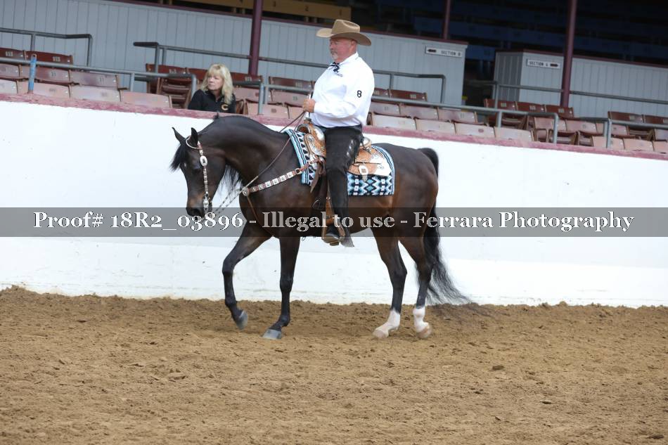 Proof 18R2_03896