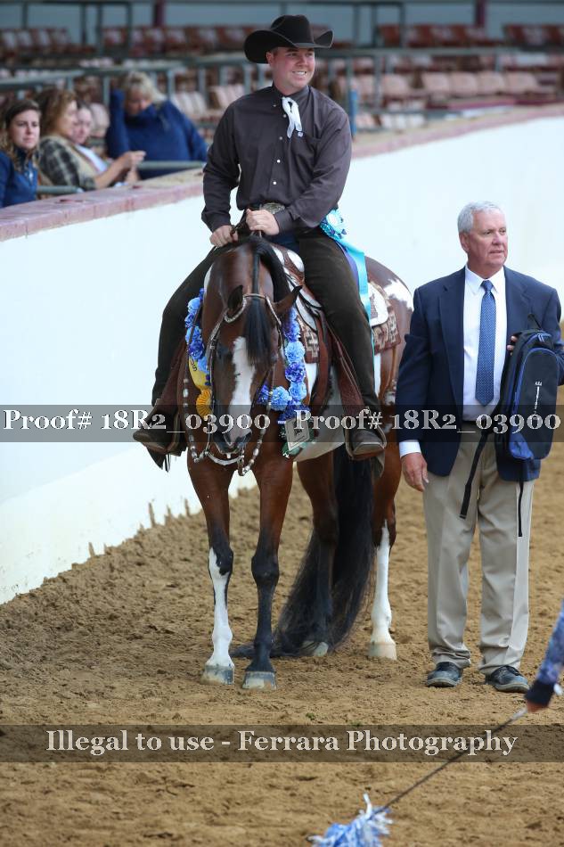 Proof 18R2_03900
