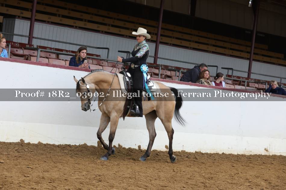 Proof 18R2_03902
