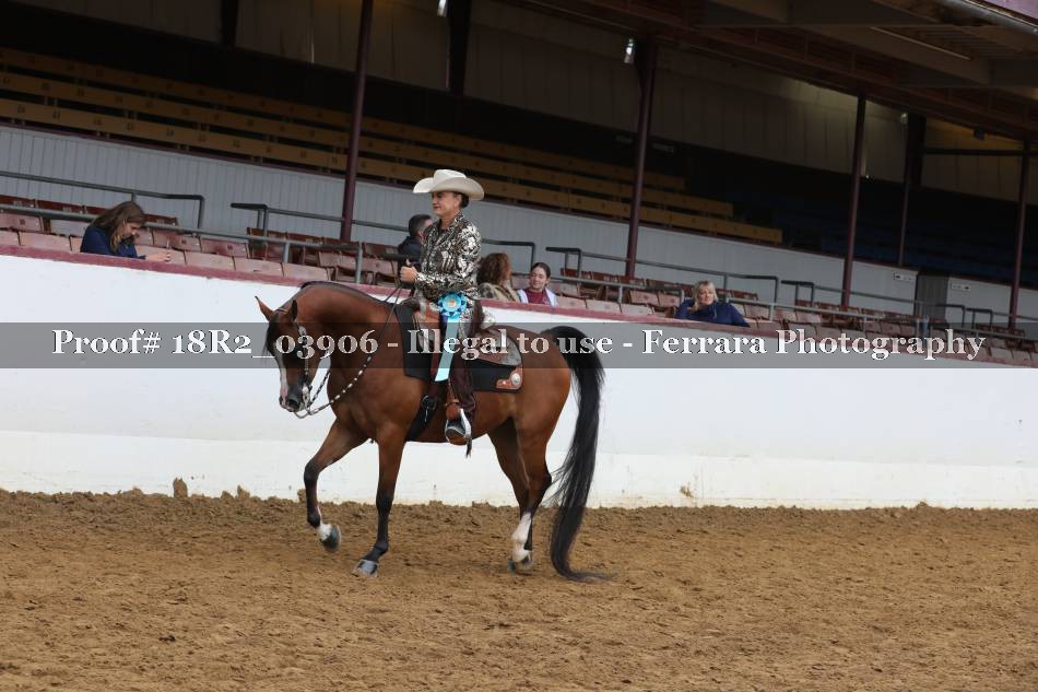 Proof 18R2_03906