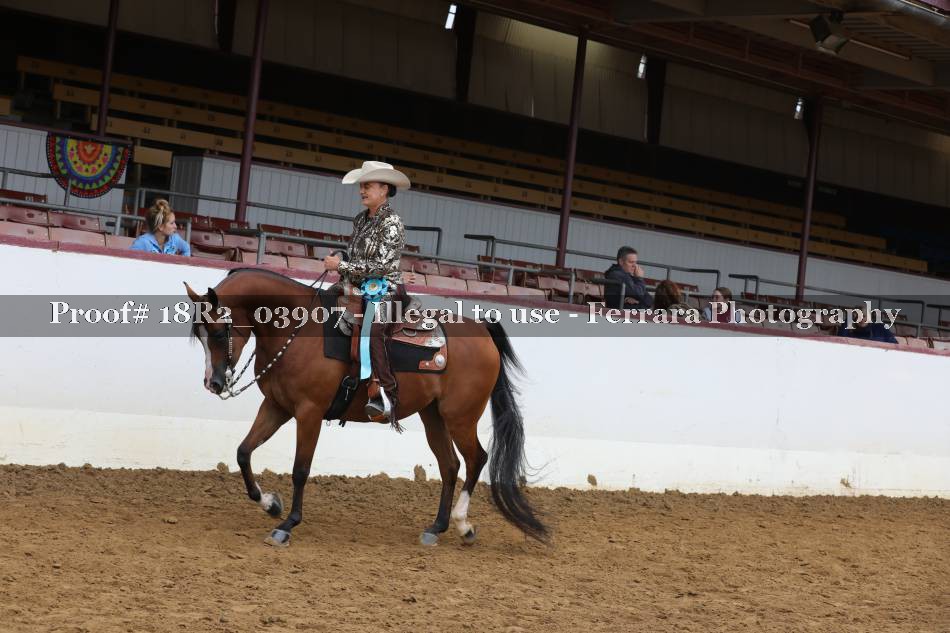 Proof 18R2_03907