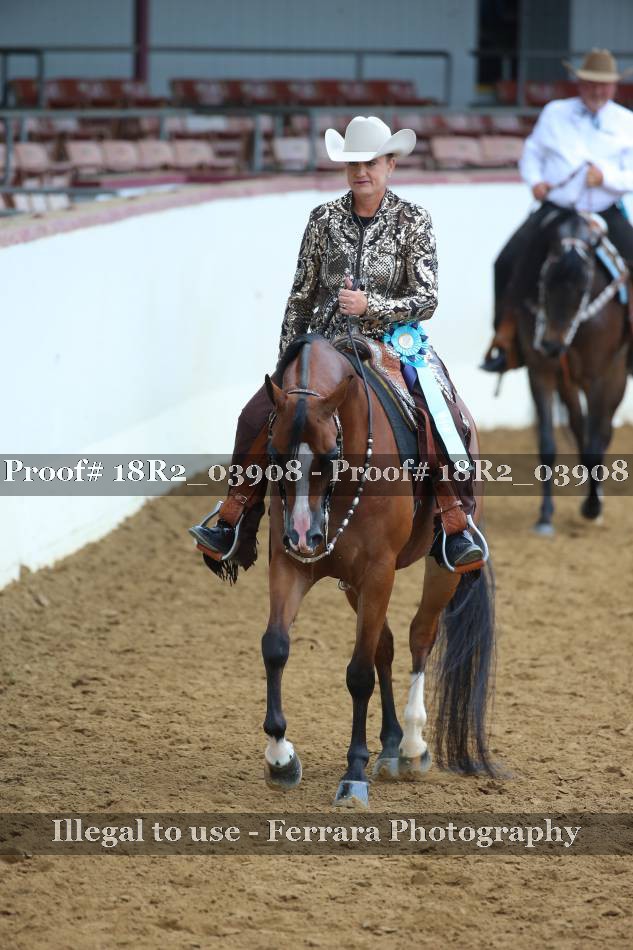 Proof 18R2_03908