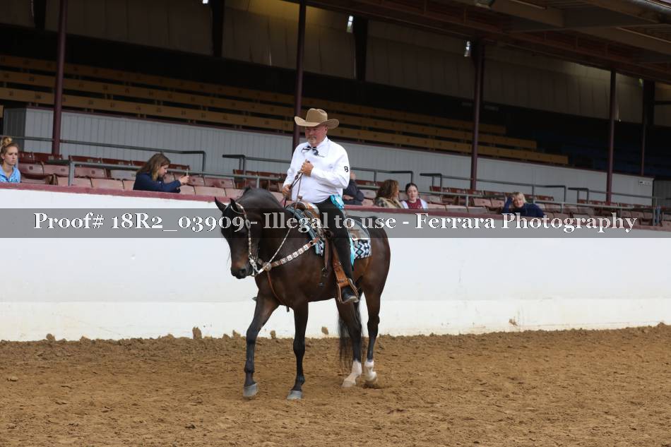 Proof 18R2_03909