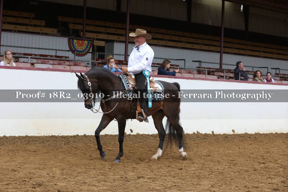 Proof 18R2_03910