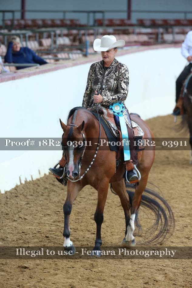 Proof 18R2_03911