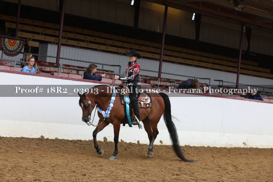 Proof 18R2_03913