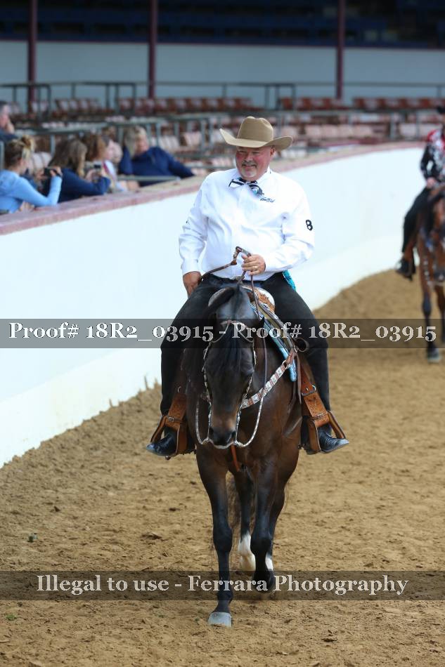 Proof 18R2_03915