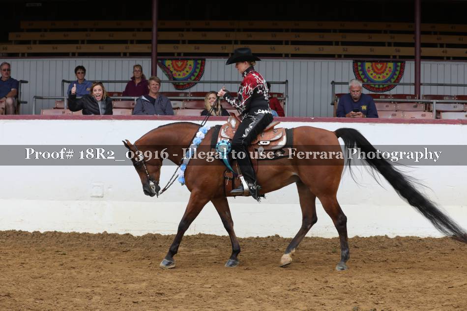 Proof 18R2_03916