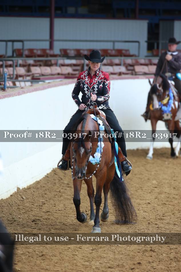 Proof 18R2_03917