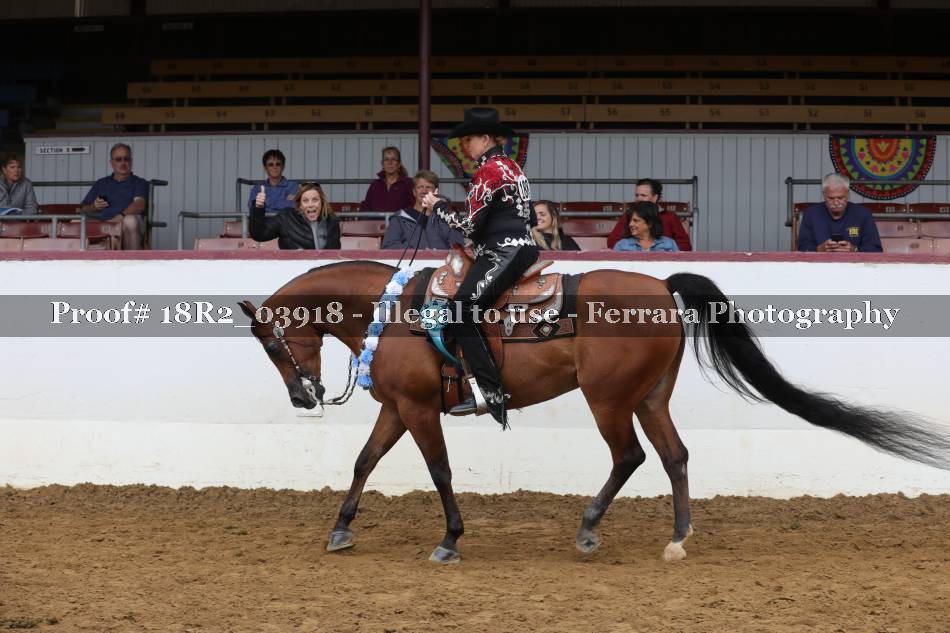Proof 18R2_03918
