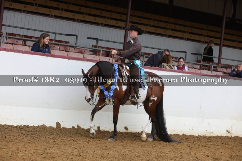 Proof 18R2_03919