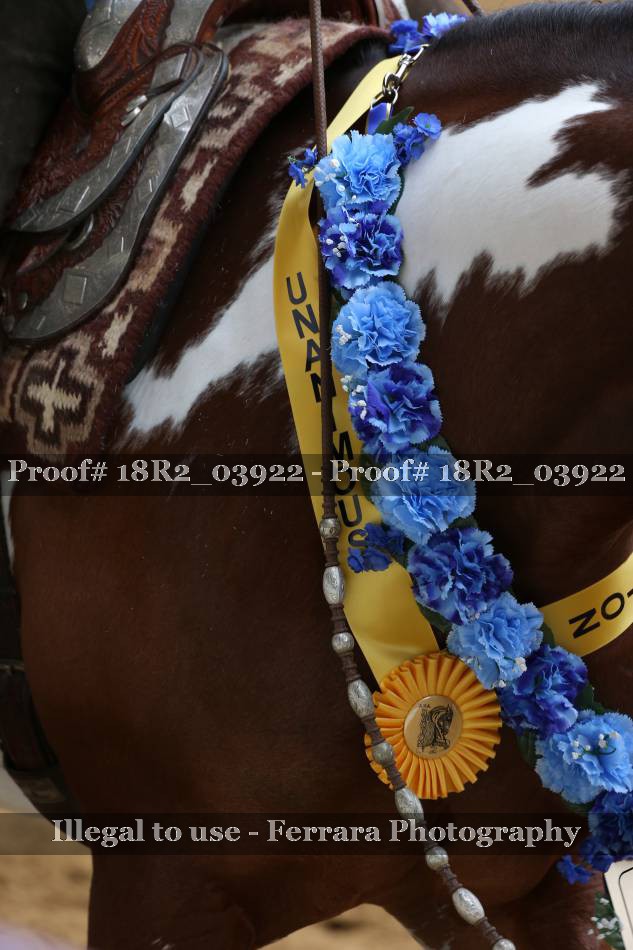 Proof 18R2_03922