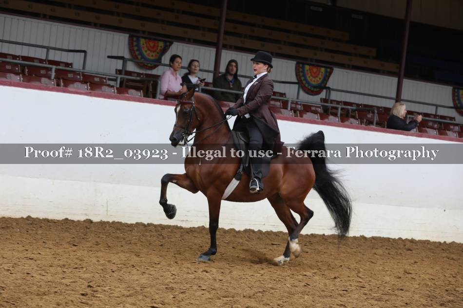 Proof 18R2_03923