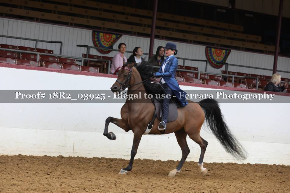 Proof 18R2_03925