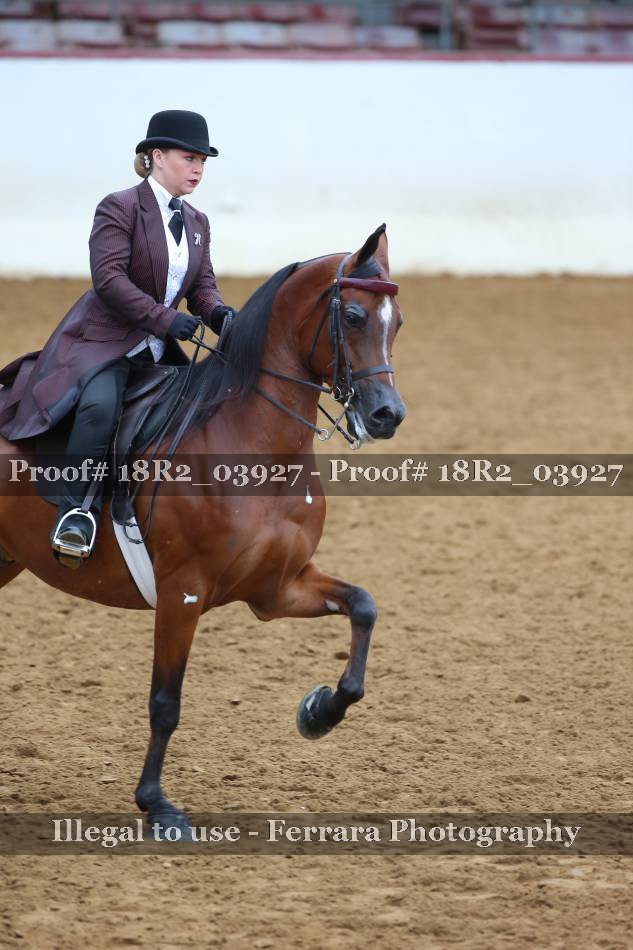 Proof 18R2_03927
