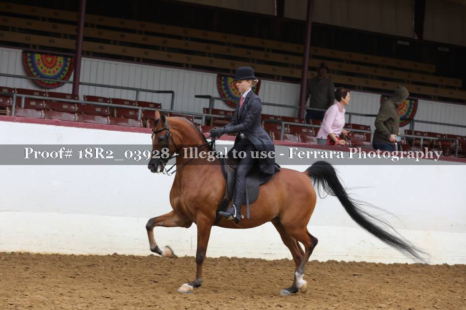 Proof 18R2_03928
