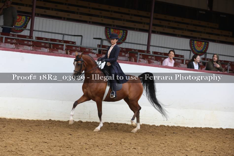 Proof 18R2_03929