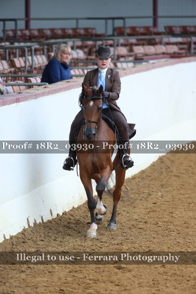 Proof 18R2_03930