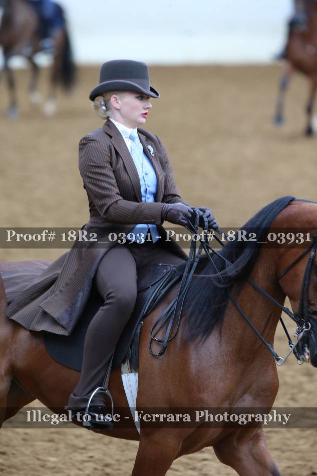 Proof 18R2_03931