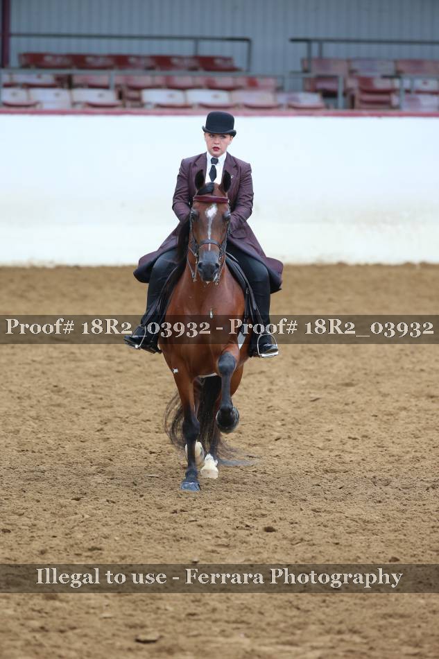 Proof 18R2_03932