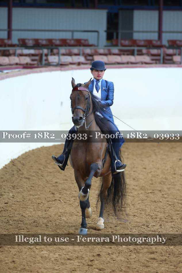 Proof 18R2_03933