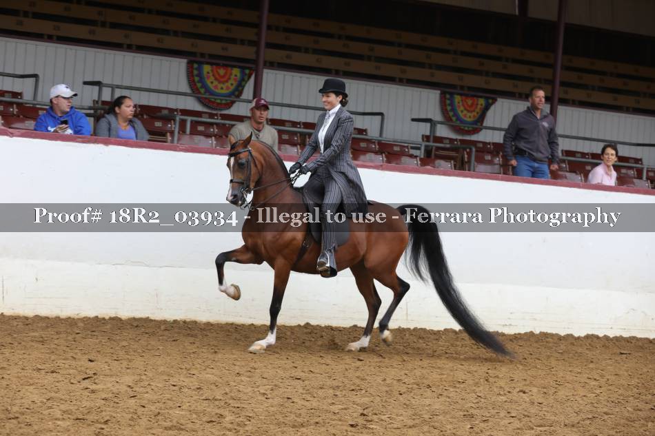 Proof 18R2_03934