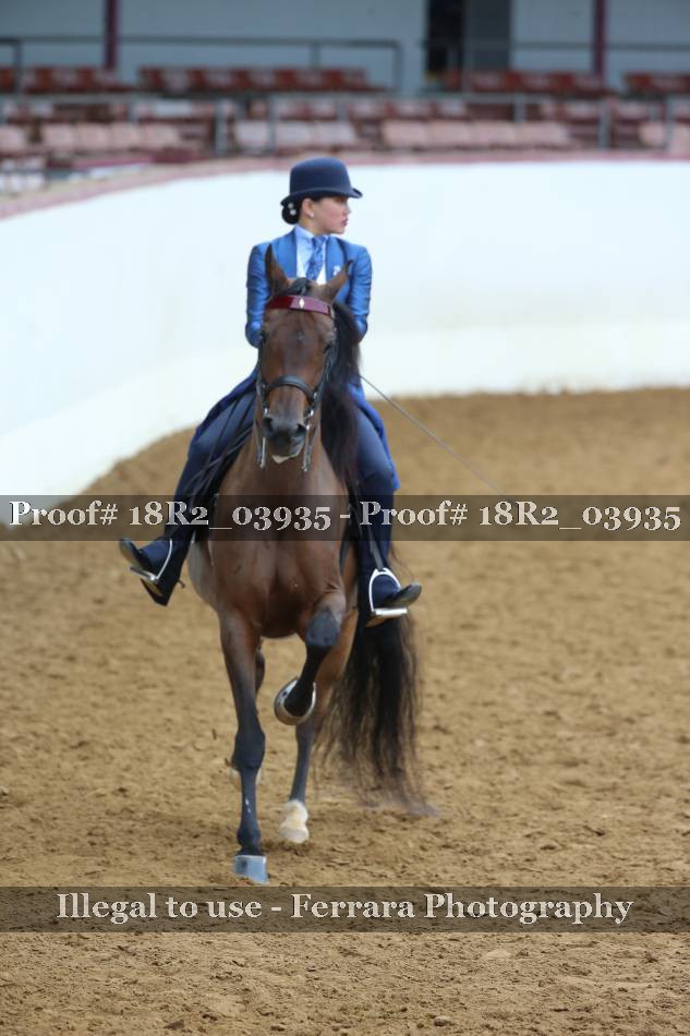 Proof 18R2_03935