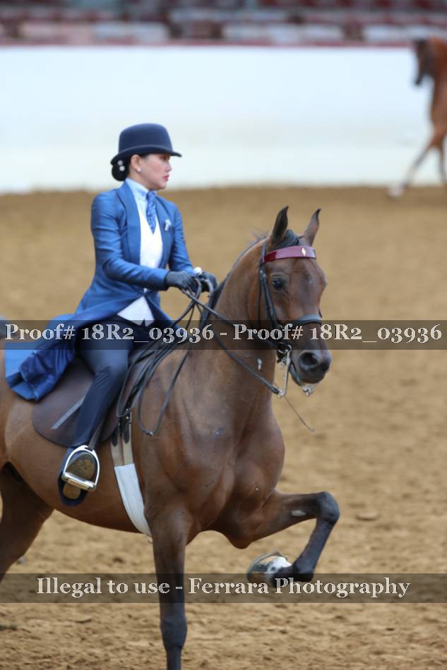 Proof 18R2_03936
